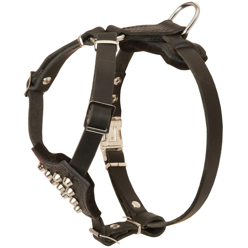 Studded Leather Mastiff Puppy Harness