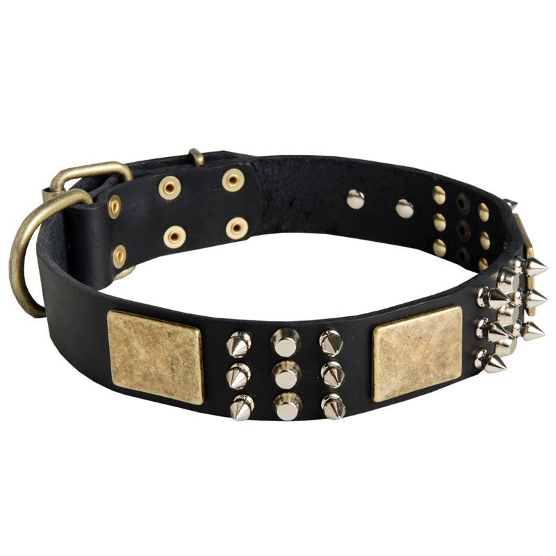 Spiked Leather Mastiff Collar with Plates and Cones