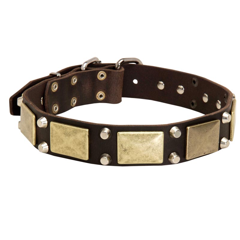 Leather Mastiff Collar with Studs and Plates