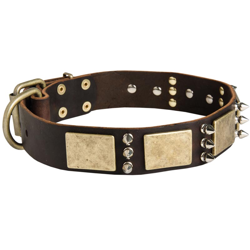 Designer War-Style Leather Mastiff Collar with Spikes and Plates