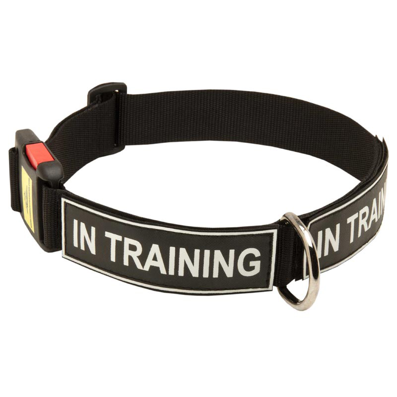 All Weather Nylon Mastiff Collar with ID Patches - Click Image to Close