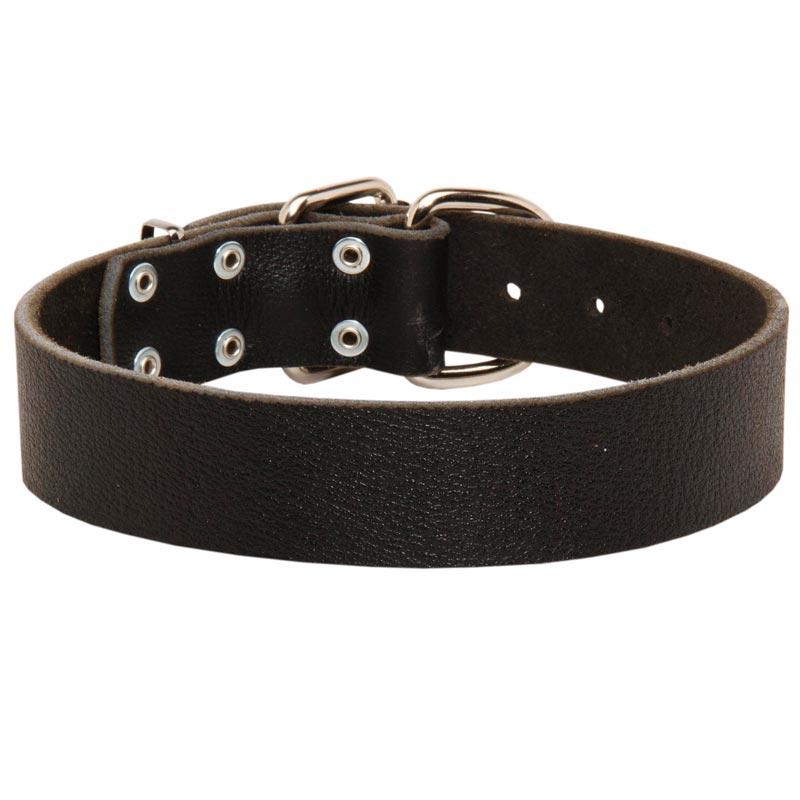 Wide Leather Mastiff Collar for Training and Walking