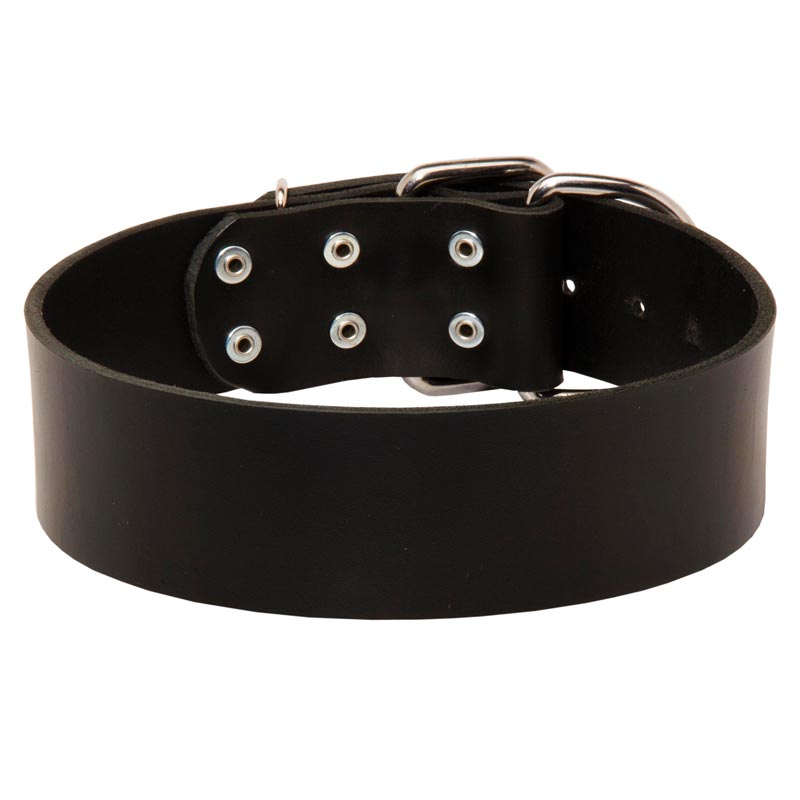 Extra Wide Leather Mastiff Collar for Professional Training