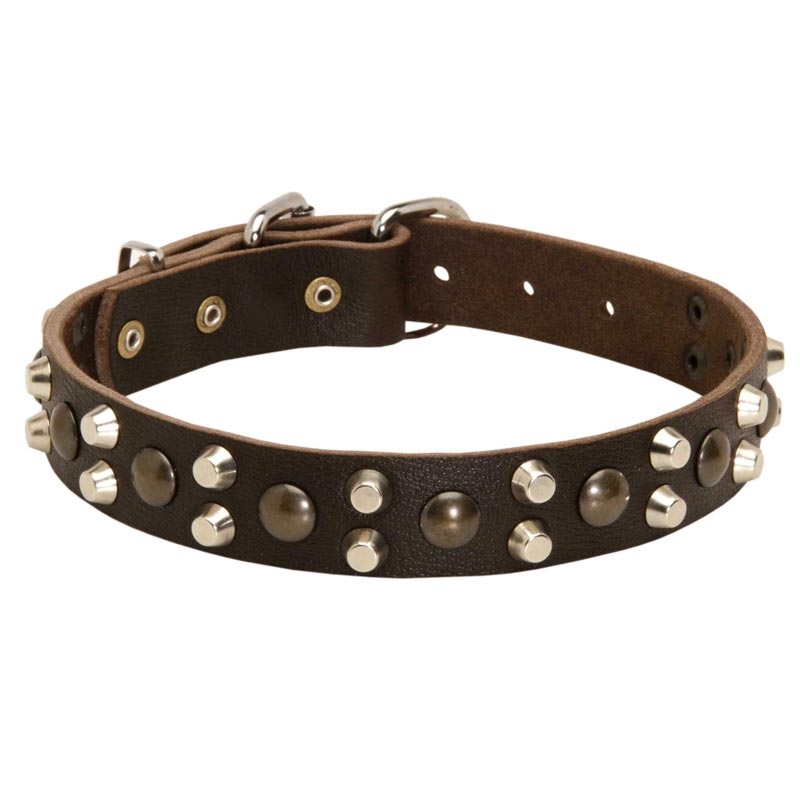 Leather Mastiff Collar With Studs and Pyramids