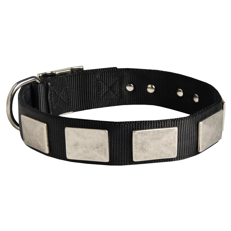 Nylon Mastiff Collar Massive Nickel Plates