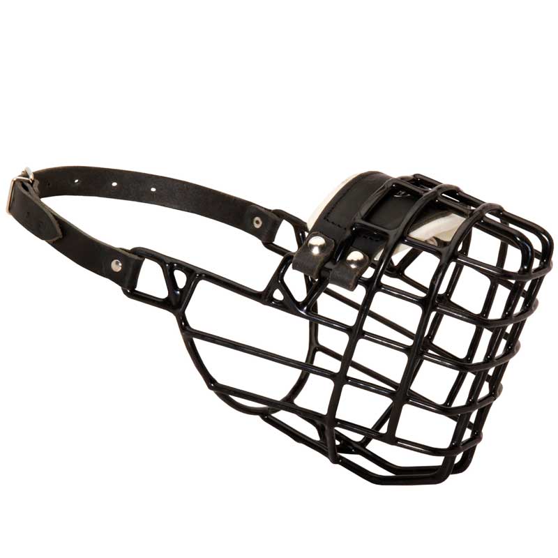 Frost-Resistant Wire Cage Mastiff Muzzle with One Adjustable Strap
