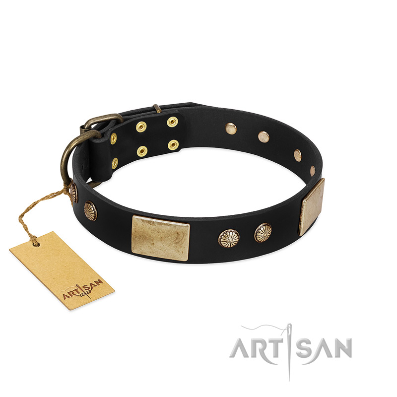 "Antique Gloss" FDT Artisan Black Leather Mastiff Collar with Bronze-like Plates and Small Studs