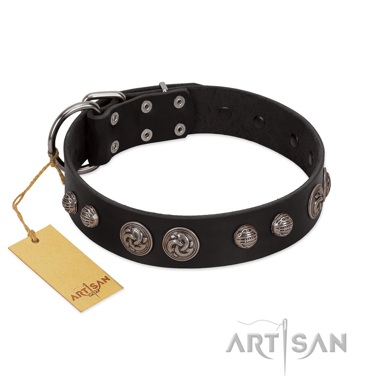 "Tricky Ricky" FDT Artisan Black Leather Mastiff Collar Adorned with Silver-Like Conchos
