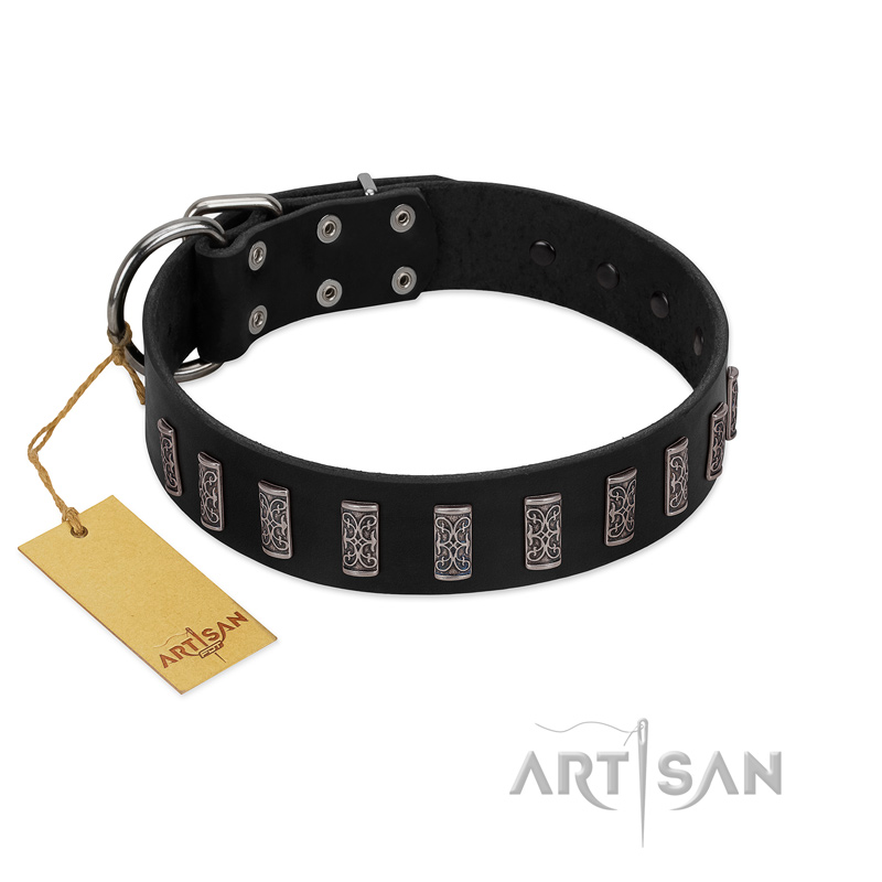 "Black Prince" Handmade FDT Artisan Black Leather Mastiff Collar with Silver-Like Adornments
