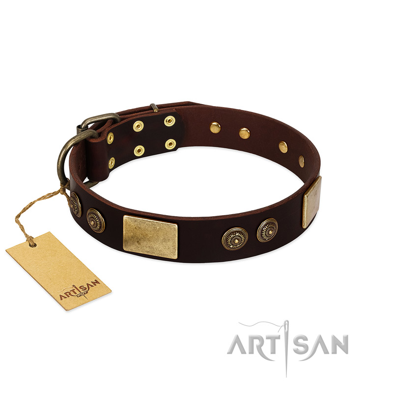 "Bow-Wow Effect" FDT Artisan Brown Leather Mastiff Collar with Plates and Ornate Studs