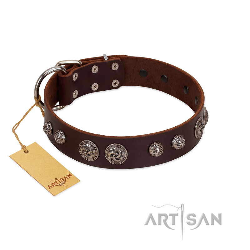 "Choco Brownie" FDT Artisan Brown Leather Mastiff Collar Adorned with Silver-Like Conchos