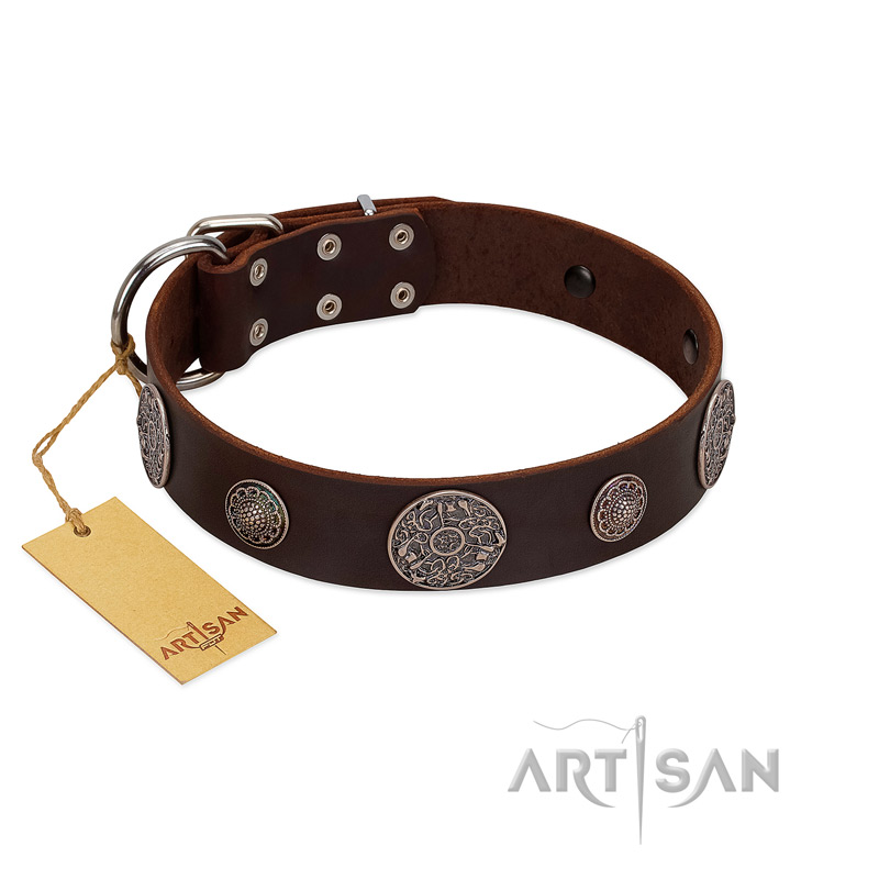 "Flashy Woof" FDT Artisan Brown Leather Mastiff Collar with Chrome Plated Brooches