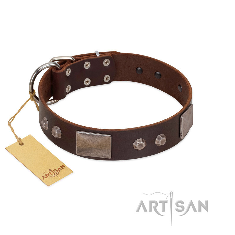 "Stone Stars" Stylish Handmade FDT Artisan Brown Leather Mastiff Collar