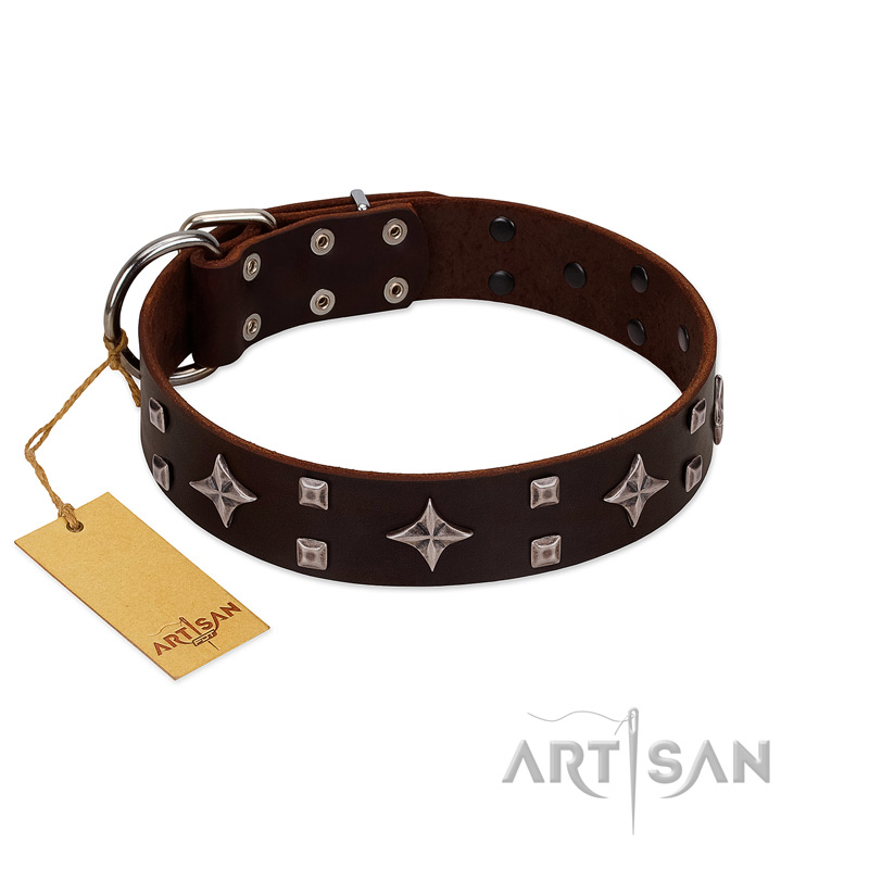 "Trendy Candy" FDT Artisan Brown Leather Mastiff Collar Adorned with Stars and Tiny Squares
