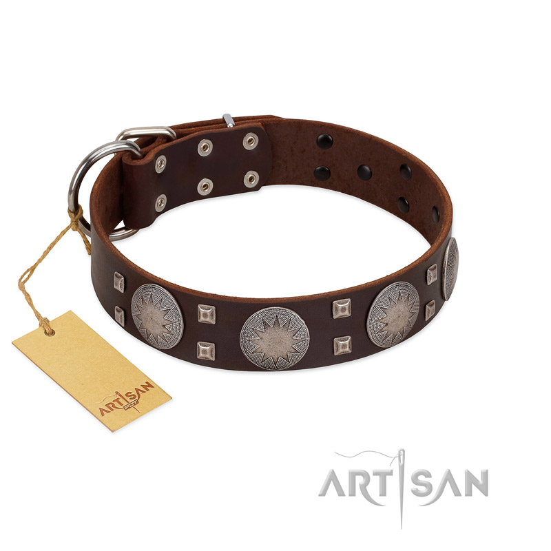 "Sun in Barchans" Modern FDT Artisan Brown Leather Mastiff Collar with Engraved Stars on Round Plates and Studs