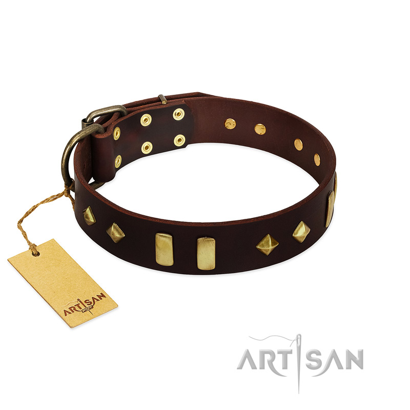 "Blinking Illusion" FDT Artisan Brown Leather Mastiff Collar with Old Bronze-like Studs and Plates - Click Image to Close