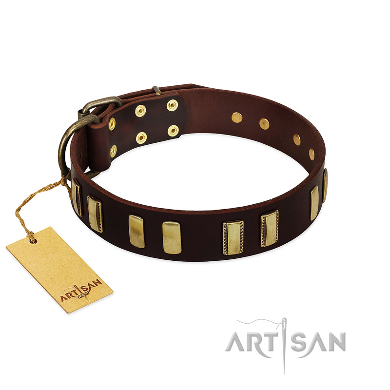 "Peace and Harmony" FDT Artisan Brown Leather Mastiff Collar with Plates
