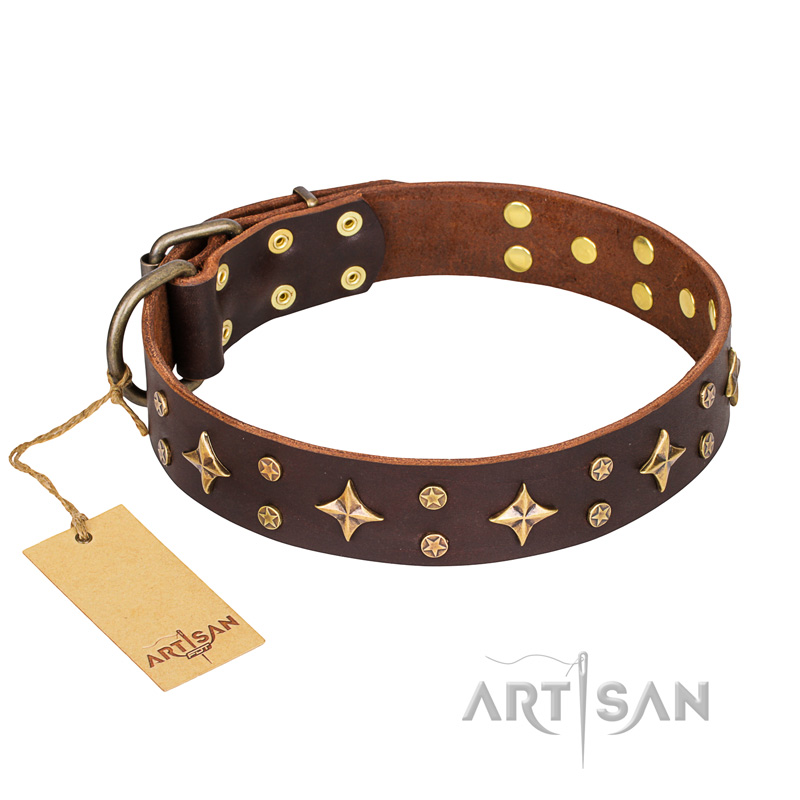 "High Fashion" FDT Artisan Embellished Brown Leather Mastiff Collar