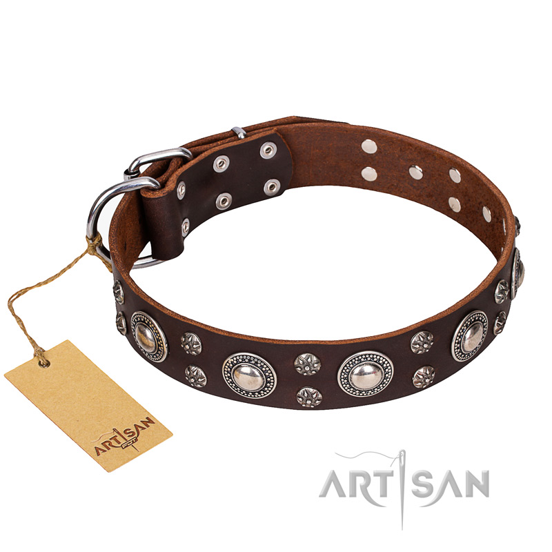 "Age of Beauty" FDT Artisan Incredible Studded Brown Leather Mastiff Collar