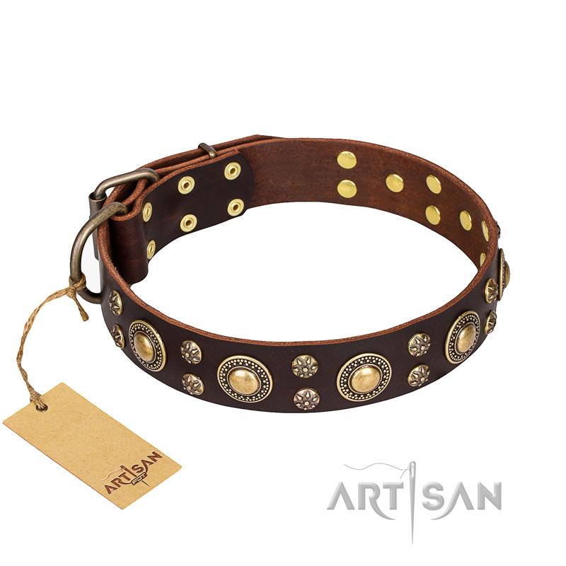 "Flower Melody" FDT Artisan Brown Leather Mastiff Collar with Mixed Studs