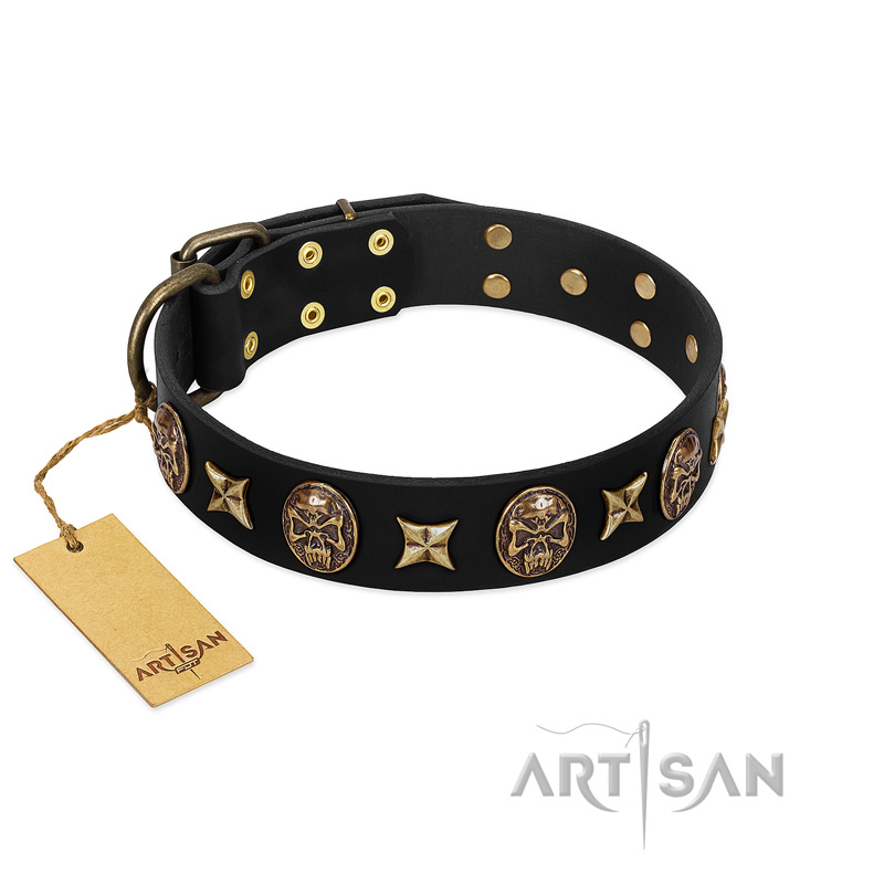 "Starry Saga" FDT Artisan Black Leather Mastiff Collar with Stars and Skulls