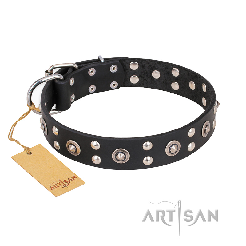 "Refined Essence" FDT Artisan Black Leather Mastiff Collar with Silvery Studs
