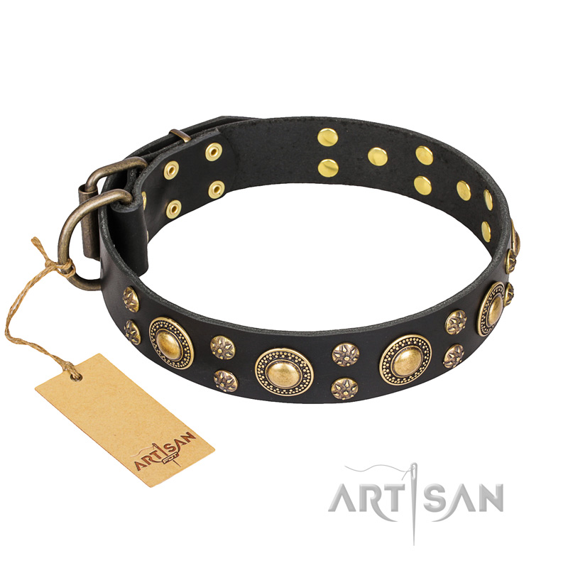 "Baroque Chic" FDT Artisan Studded Black Leather Mastiff Collar