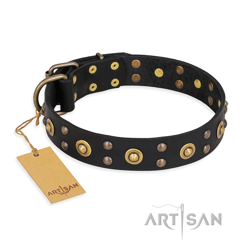 "Cosmic Glow" FDT Artisan Black Leather Mastiff Collar with Brass-Plated Studs
