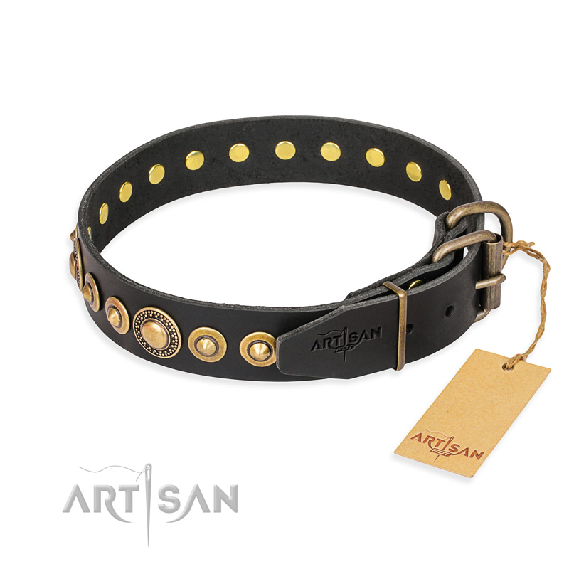 "Gold Mine" FDT Artisan Black Leather Mastiff Collar with Amazing Bronze-Plated Round Studs