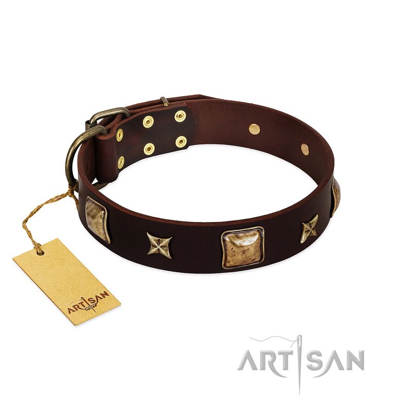 "Choco Dreams" FDT Artisan Brown Leather Mastiff Collar with Squares and Stars