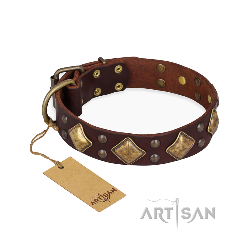 "Golden Square" FDT Artisan Brown Leather Mastiff Collar with Large Squares