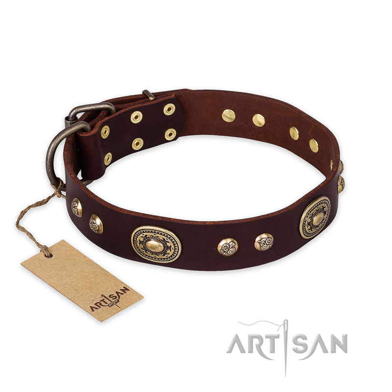 "Breath of Elegance" FDT Artisan Decorated with Plates Brown Leather Mastiff Collar