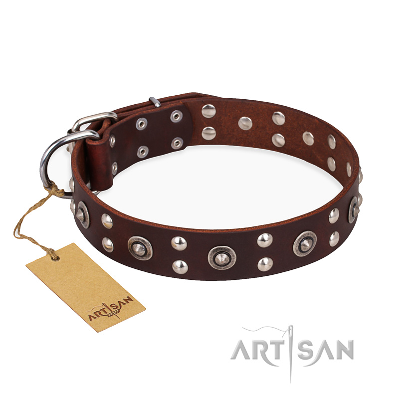 "Pirate Treasure" FDT Artisan Exciting Brown Leather Mastiff Collar with Studs