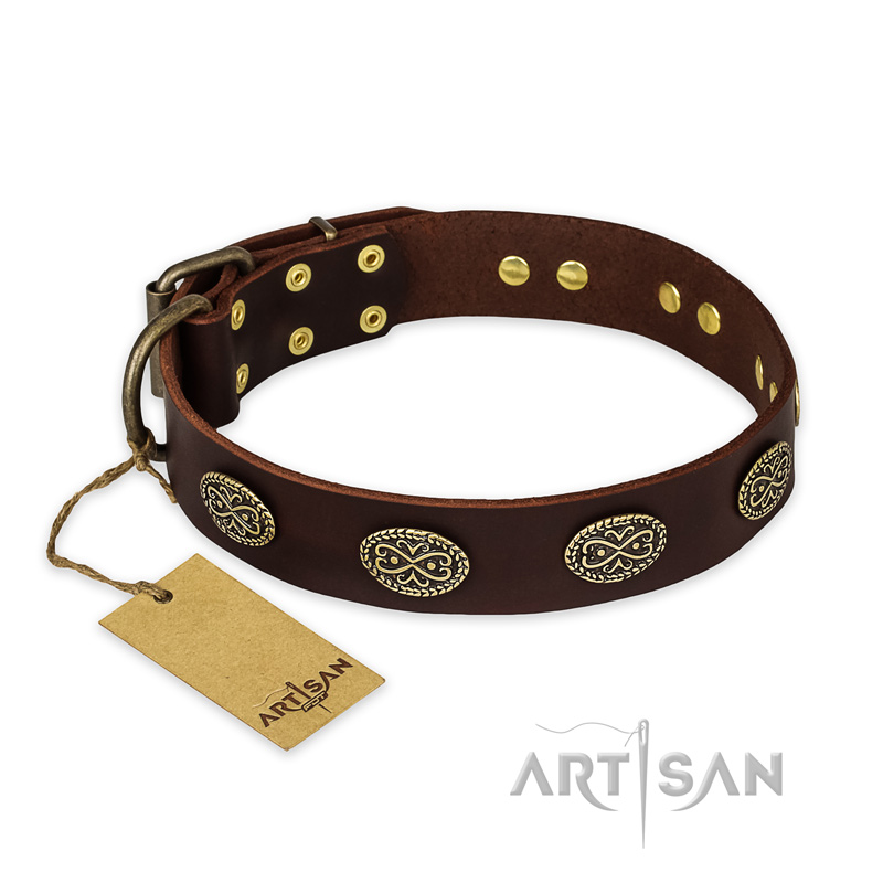 "Chocolate kiss" FDT Artisan Leather Mastiff Collar with Old Bronze Look Oval Plates