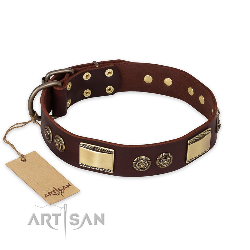 "Golden Stones" FDT Artisan Brown Leather Mastiff Collar with Old Bronze Look Plates and Circles