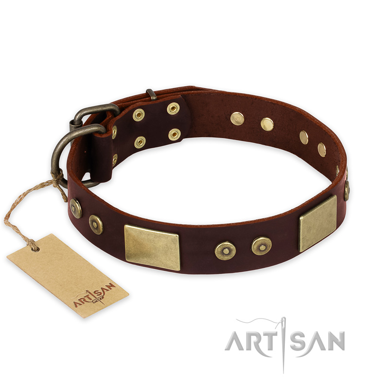 "Shining Armour" FDT Artisan Brown Leather Mastiff Collar with Decorations