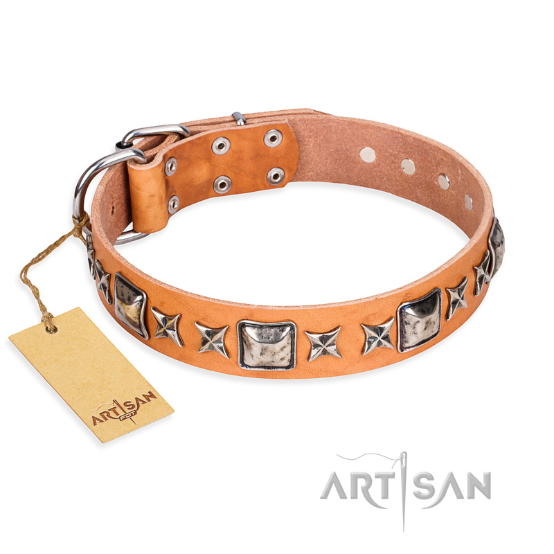 "Glamour Finery" FDT Artisan Female Mastiff collar of natural leather with stylish old-looking circles