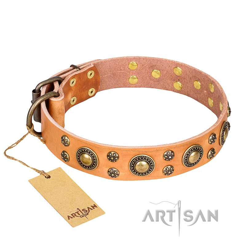"Sophisticated Glamor" FDT Artisan Leather Mastiff Collar with Fancy Old Bronze-like Plated Decorations