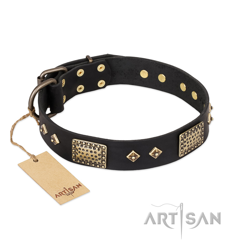 "Jewel Passion" FDT Artisan Fashionable Black Leather Mastiff Collar