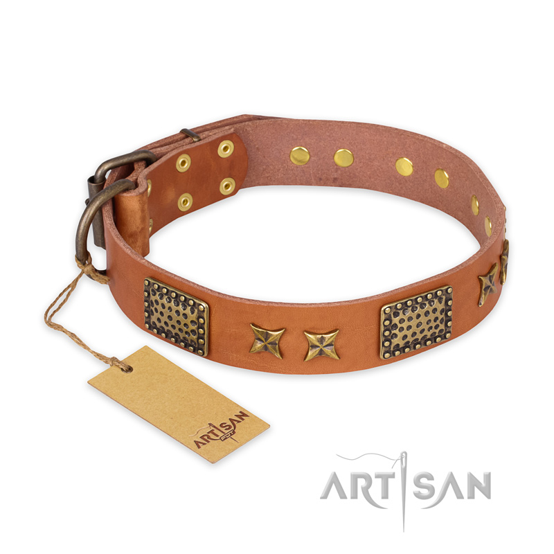 "Cosmic Traveller" FDT Artisan Adorned Leather Mastiff Collar with Old Bronze-Plated Stars and Plates - Click Image to Close
