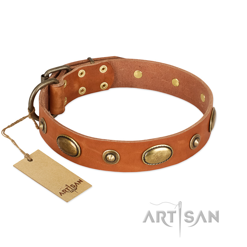 "Visual Magic" FDT Artisan Tan Leather Mastiff Collar for Daily Activities