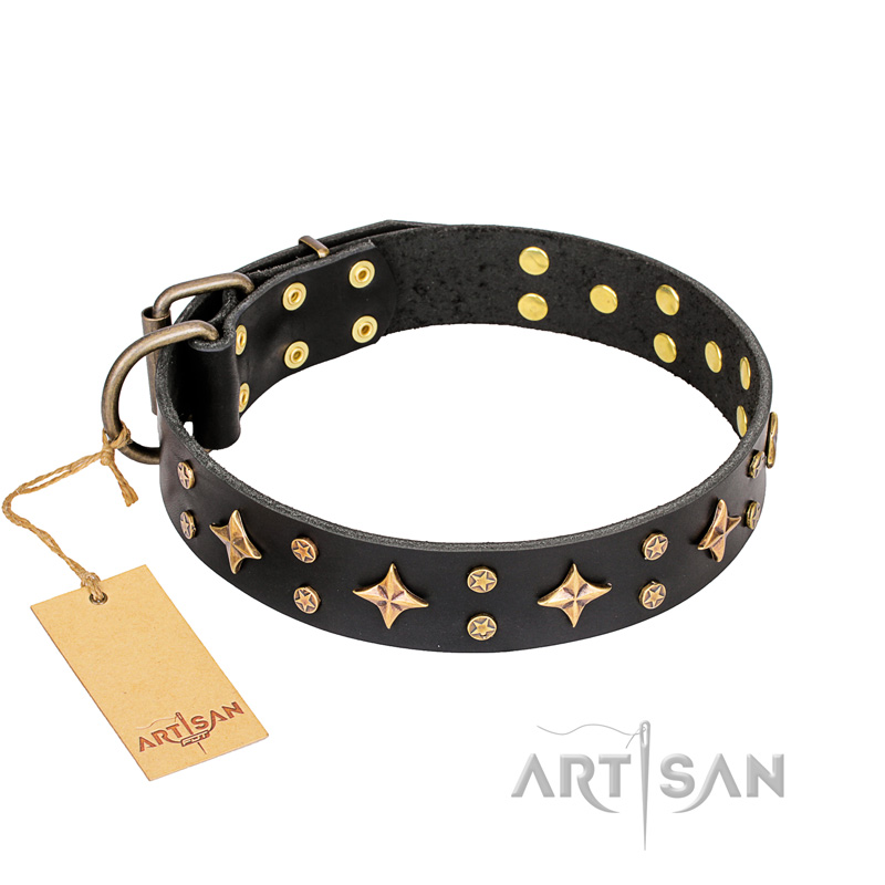 "A La Mode" FDT Artisan Handcrafted Black Leather Mastiff Collar
