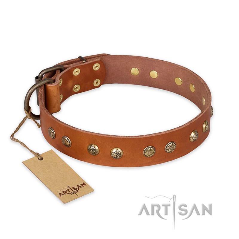 "Spring Flavor" FDT Artisan Adorned Leather Mastiff Collar with Old Bronze-Plated Engraved Studs