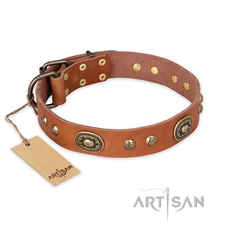 "Stunning Dress" FDT Artisan Tan Leather Mastiff Collar with Old Bronze Look Plates and Studs