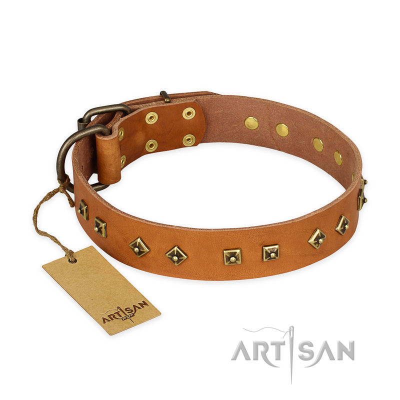 "Autumn Story" FDT Artisan Leather Mastiff Collar with Old Bronze Look Studs