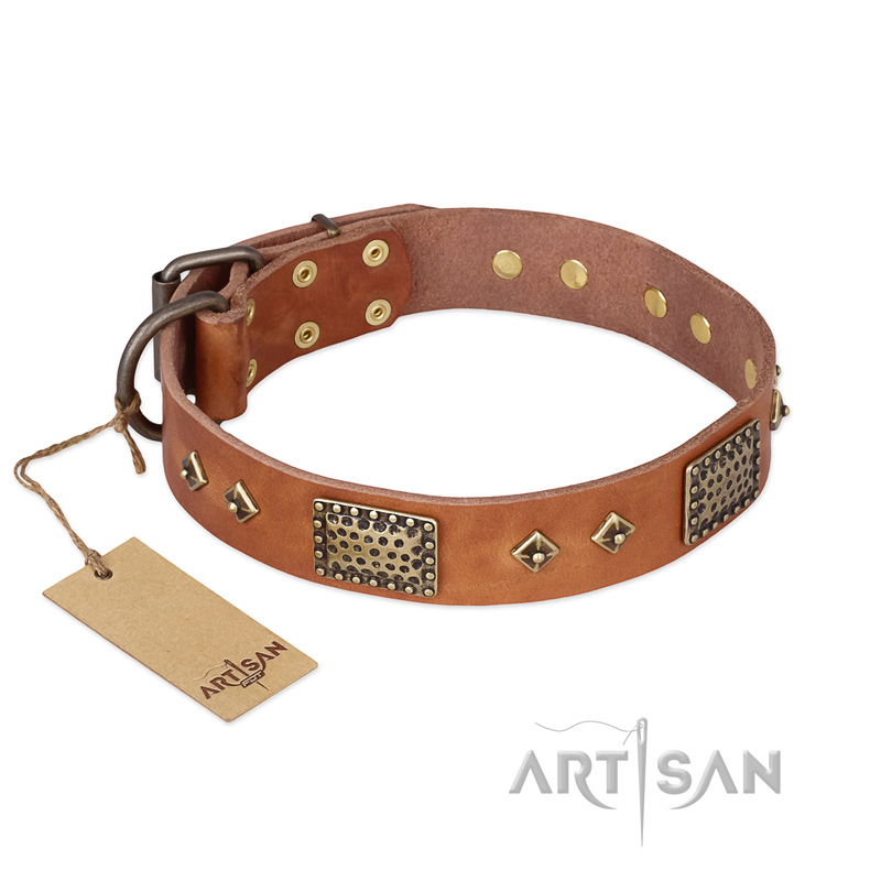 "Catchy Look" FDT Artisan Decorated Tan Leather Mastiff Collar