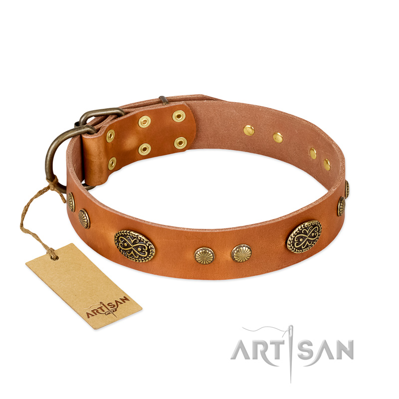 "Sun Beams" FDT Artisan Tan Leather Mastiff Collar with Decorations