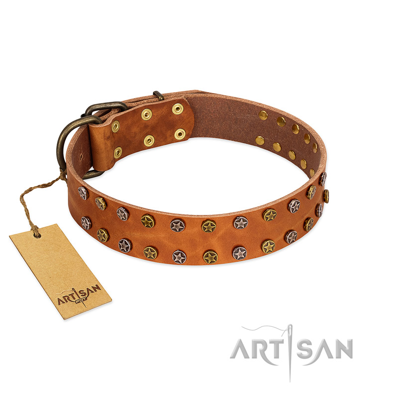 "Walk and Shine" FDT Artisan Tan Leather Mastiff Collar with Antiqued Studs