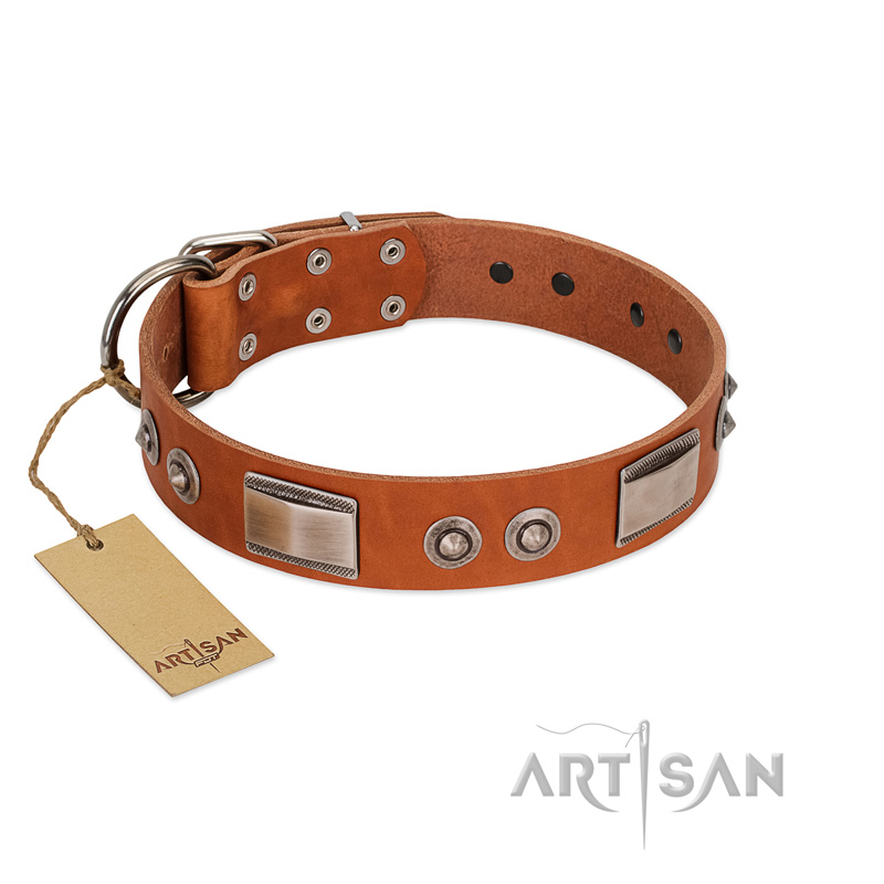 "Pawsy Glossy" FDT Artisan Exclusive Tan Leather Mastiff Collar 1 1/2 inch (40 mm) wide