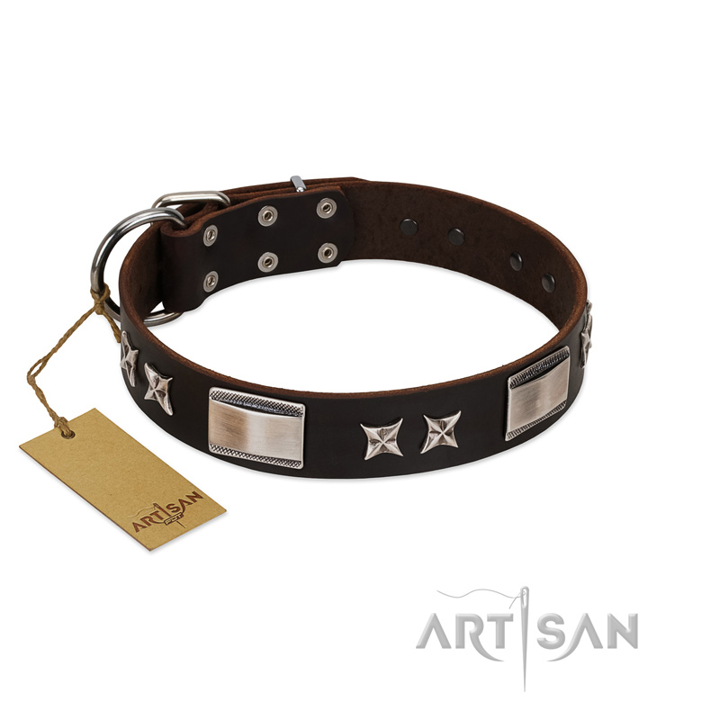 "Satin Beauts" FDT Artisan Brown Leather Mastiff Collar with Stars and Plates